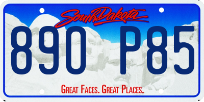 SD license plate 89OP85