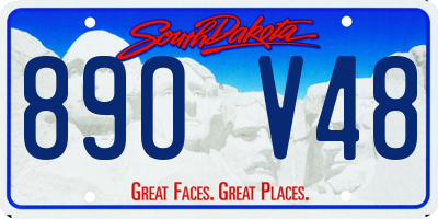 SD license plate 89OV48