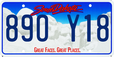 SD license plate 89OY18