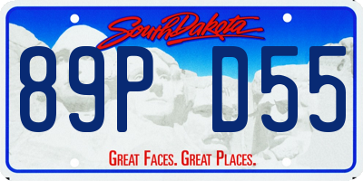 SD license plate 89PD55