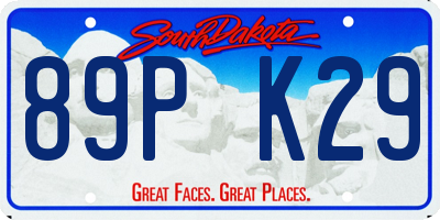 SD license plate 89PK29