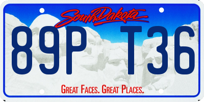 SD license plate 89PT36