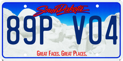 SD license plate 89PV04