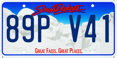 SD license plate 89PV41