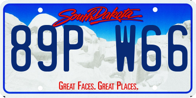 SD license plate 89PW66