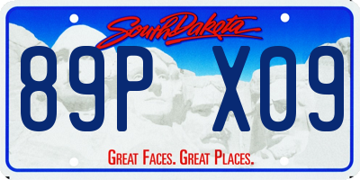 SD license plate 89PX09
