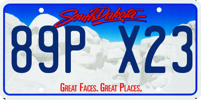 SD license plate 89PX23