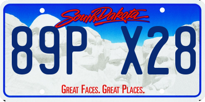 SD license plate 89PX28