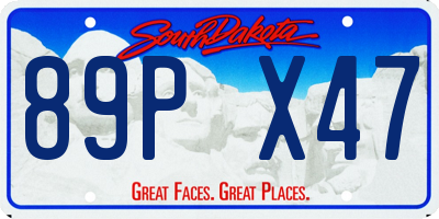 SD license plate 89PX47