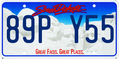 SD license plate 89PY55