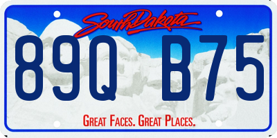 SD license plate 89QB75