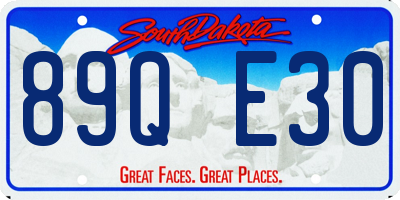 SD license plate 89QE30