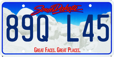 SD license plate 89QL45
