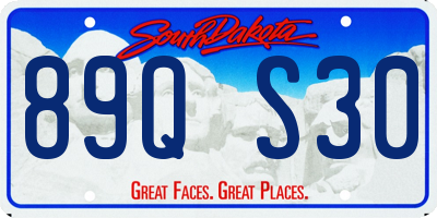 SD license plate 89QS30