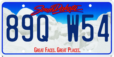 SD license plate 89QW54