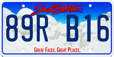 SD license plate 89RB16