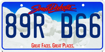 SD license plate 89RB66