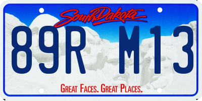 SD license plate 89RM13