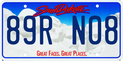 SD license plate 89RN08