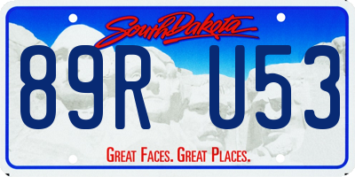 SD license plate 89RU53