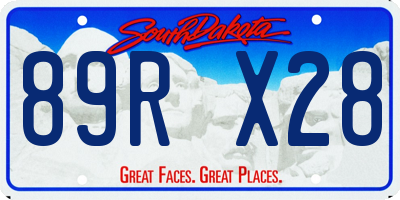SD license plate 89RX28