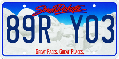 SD license plate 89RY03