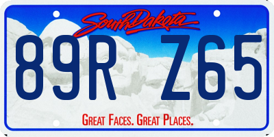 SD license plate 89RZ65