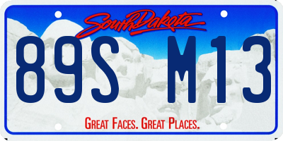 SD license plate 89SM13