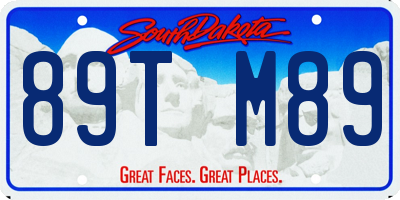 SD license plate 89TM89