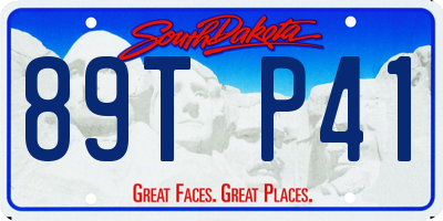 SD license plate 89TP41