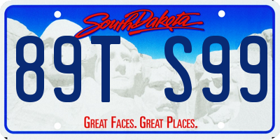 SD license plate 89TS99