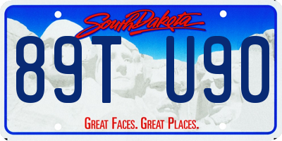 SD license plate 89TU90