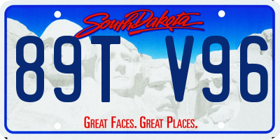 SD license plate 89TV96