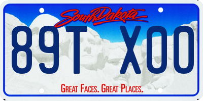 SD license plate 89TX00