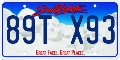 SD license plate 89TX93