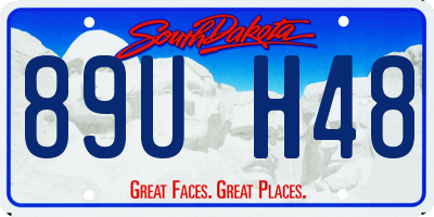 SD license plate 89UH48