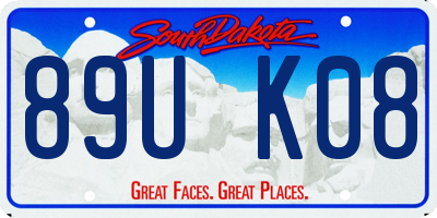 SD license plate 89UK08