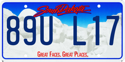 SD license plate 89UL17