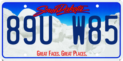 SD license plate 89UW85