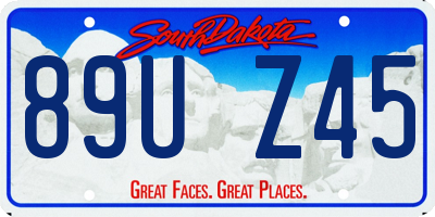 SD license plate 89UZ45