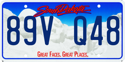 SD license plate 89VQ48
