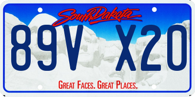 SD license plate 89VX20