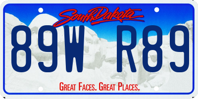 SD license plate 89WR89