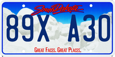 SD license plate 89XA30