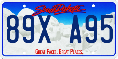 SD license plate 89XA95