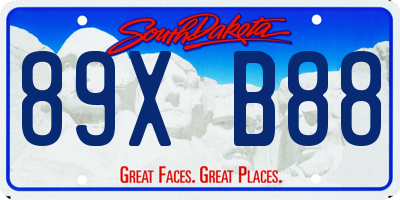 SD license plate 89XB88