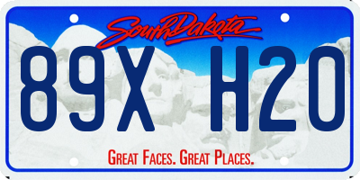 SD license plate 89XH20
