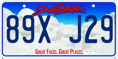 SD license plate 89XJ29