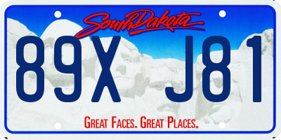SD license plate 89XJ81