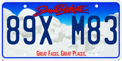 SD license plate 89XM83